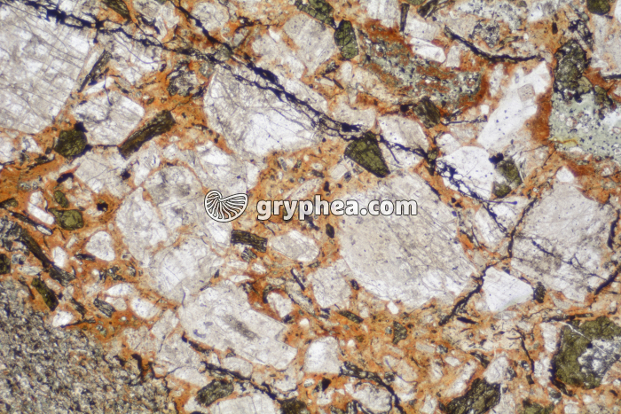 Rhyolite LPNA x6,3 - gryphea.com